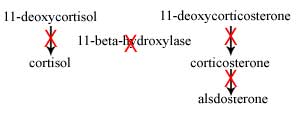 11-beta-hydroxylase inhibition