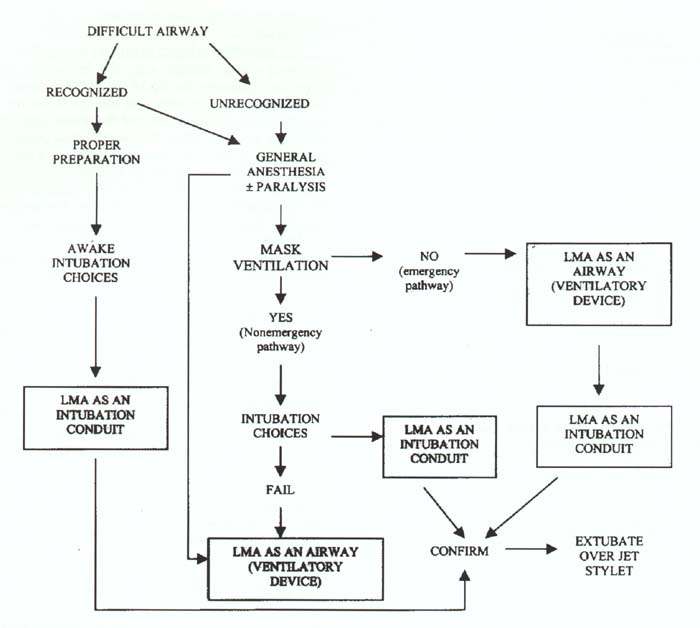 ASA Difficult Airway Algorithm with LMA