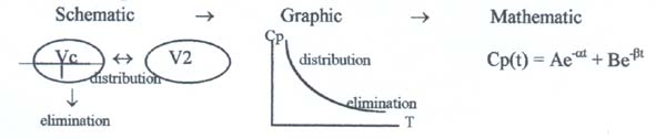 Pharmacokinetic Modeling